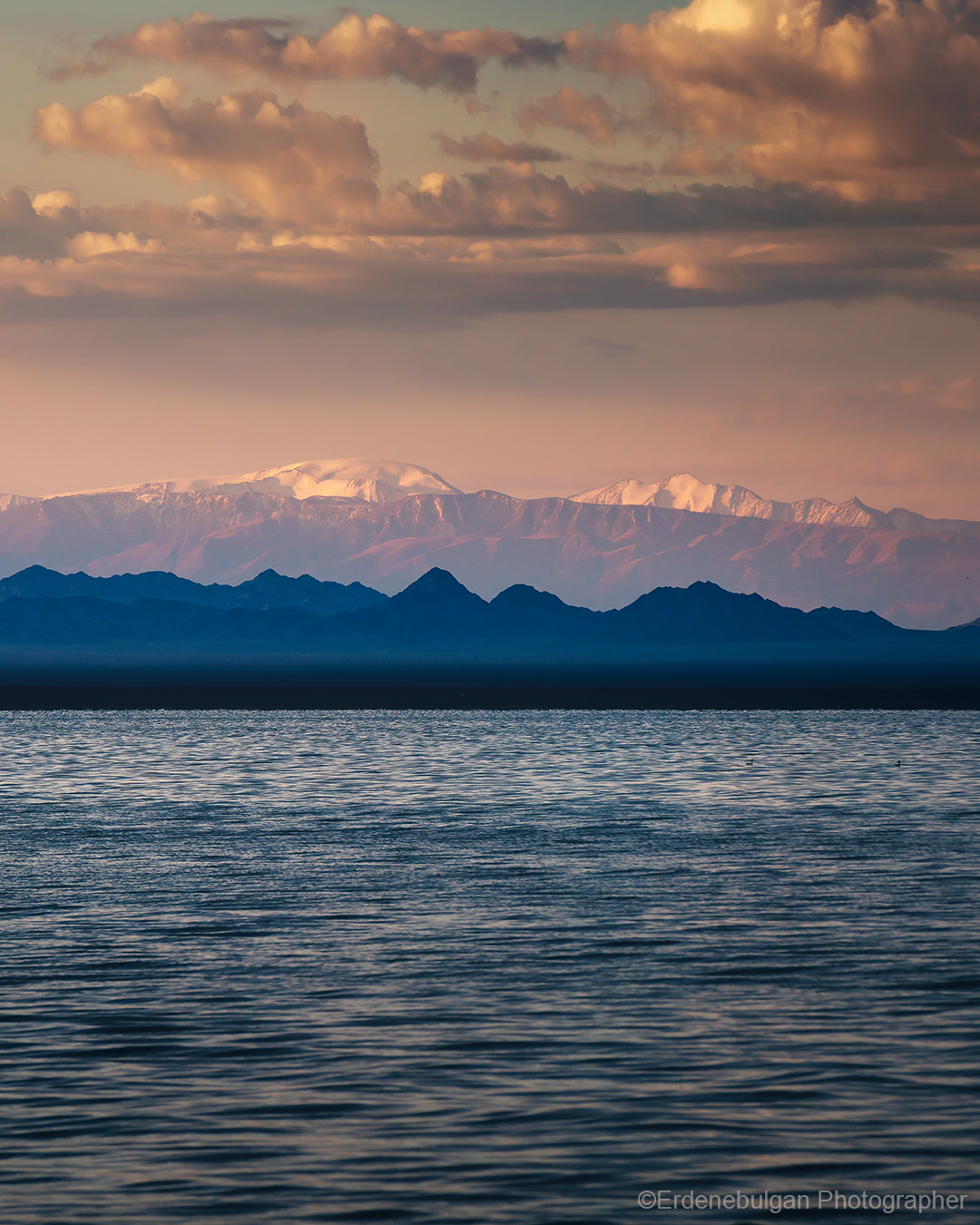 Reporting & Compliance